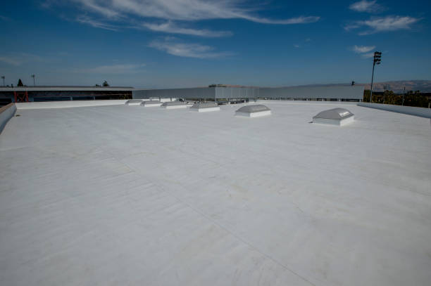 Best Roof Installation  in Elkins, AR