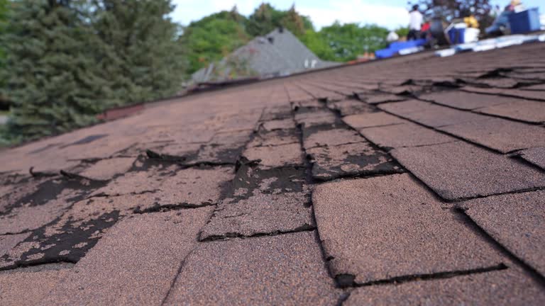 Best Rubber Roofing (EPDM, TPO)  in Elkins, AR