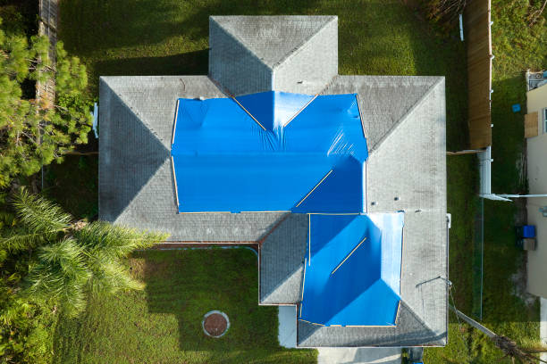 Best Solar Panel Roofing Installation  in Elkins, AR