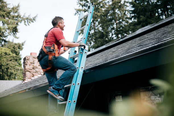 Best Green or Eco-Friendly Roofing Solutions  in Elkins, AR
